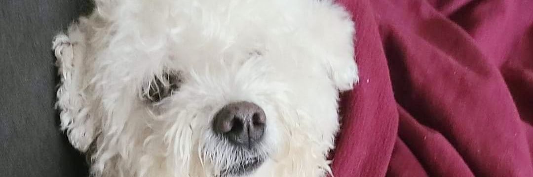 Kevan Mitchell banner