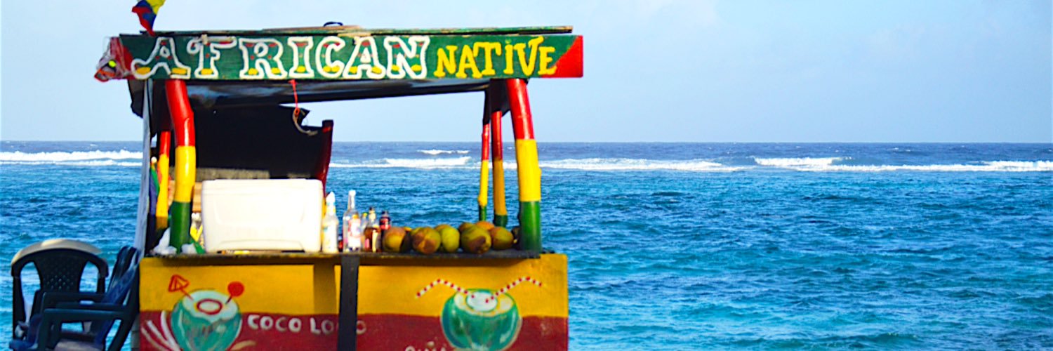MJ_vane's profile banner image