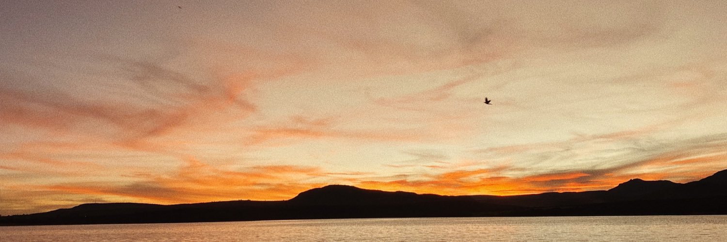 ferswOff's profile banner image
