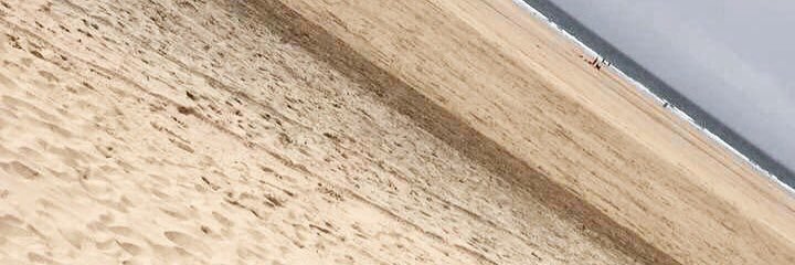 Charlotte Pogson banner