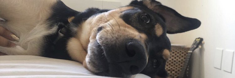 beamilvn's profile banner image