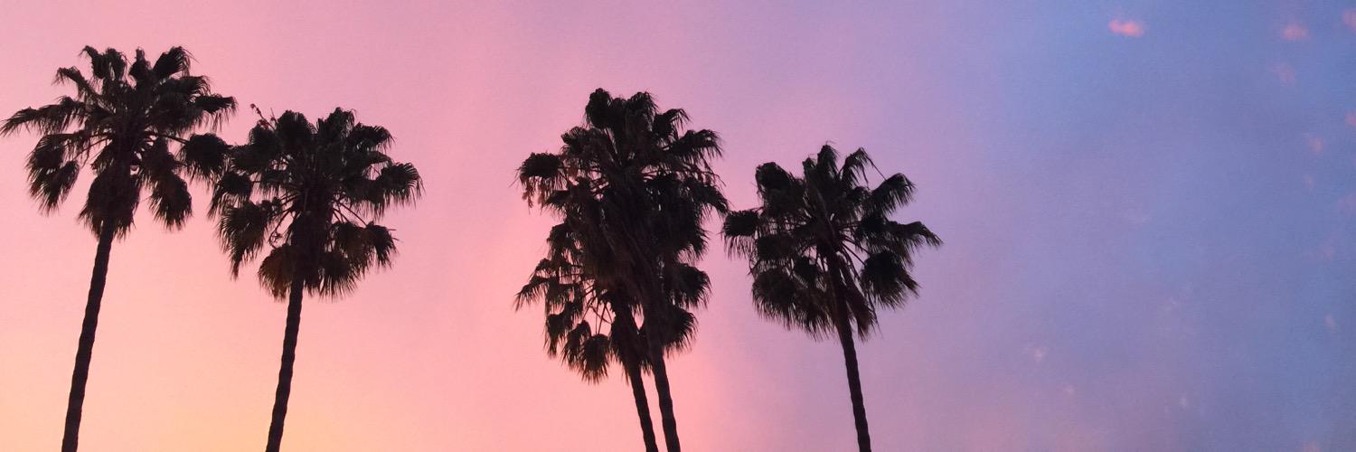 tyler johnson banner