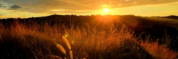 Naikasof Profile Banner