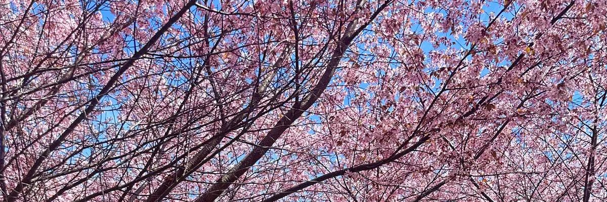 Beyoutiful_miaa's profile banner image