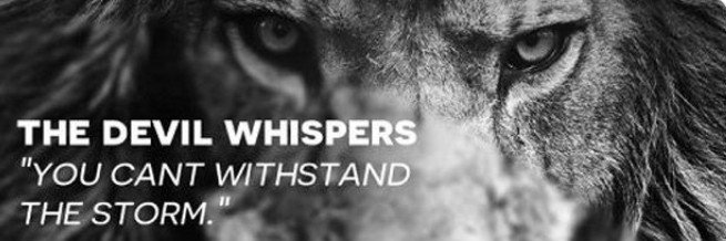 💙🌊🌻 #PRODEMOCRACY banner