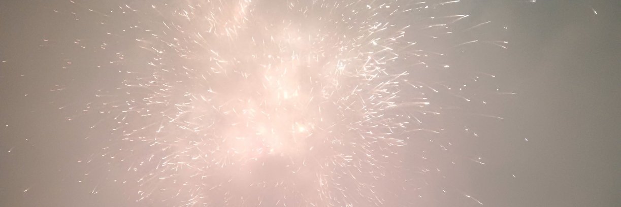 DavidDePerro's profile banner image