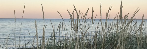 suzildus Profile Banner