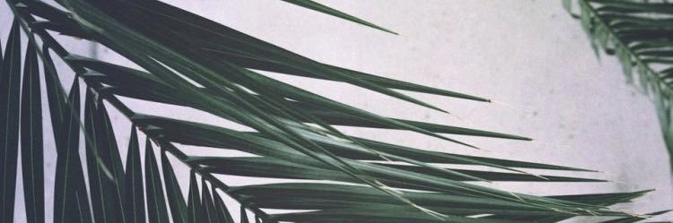 morgaaanic's profile banner image