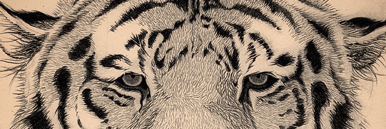 JenCoomber's profile banner image