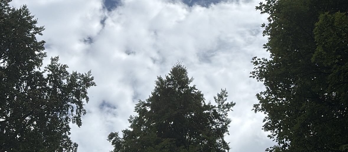 fedeescalas's profile banner image