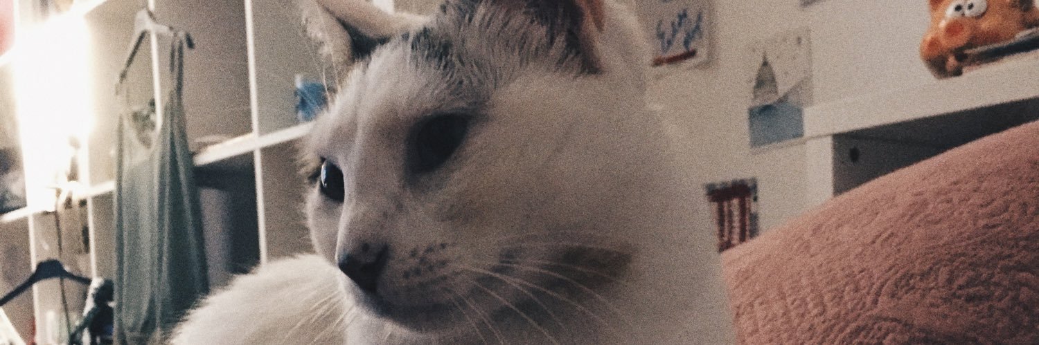 mariasssv's profile banner image