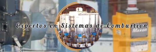 CICSA banner