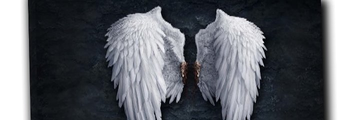 keeellleeee's profile banner image