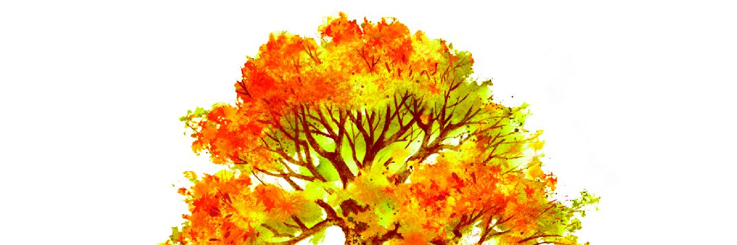 pjccmha's profile banner image