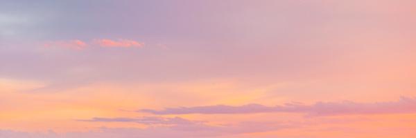 keynuntea Profile Banner