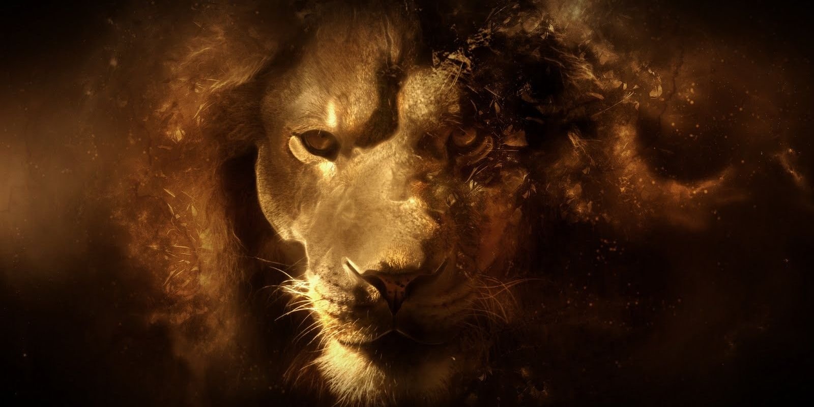 usmanali321's profile banner image