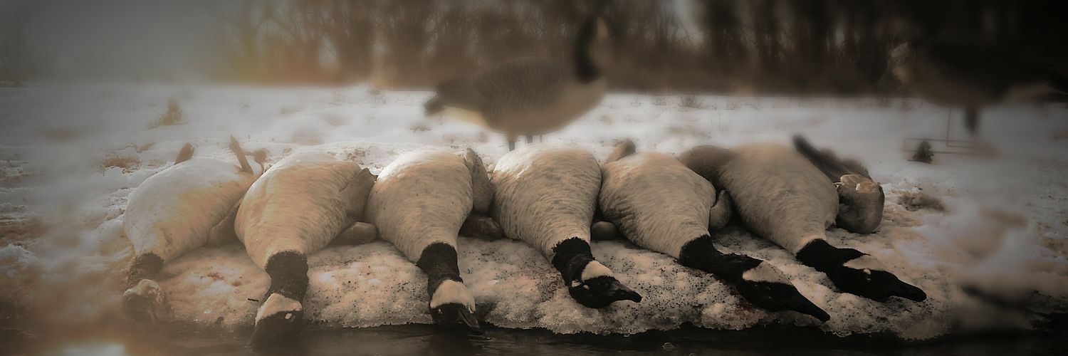 Willis_6's profile banner image