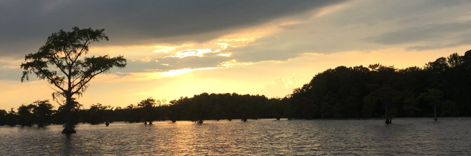 Gracielee9's profile banner image