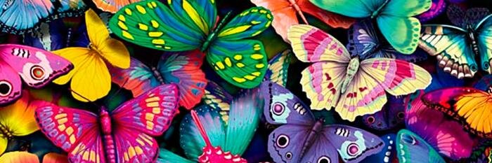 Maylen_Uparela's profile banner image