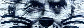 despierta_rock's profile banner image