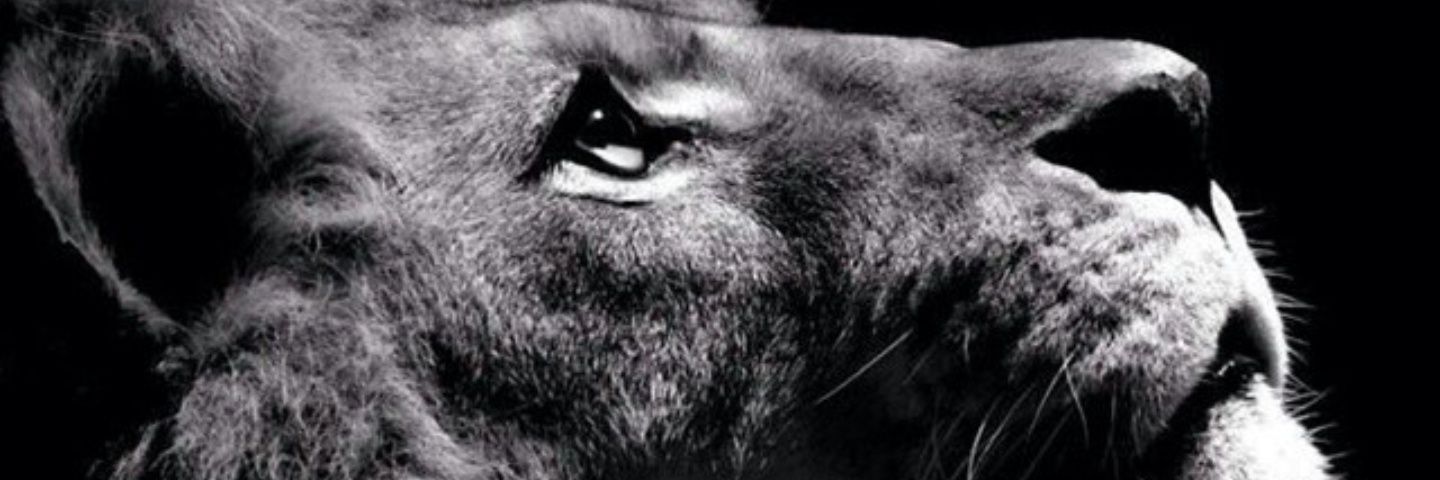ChinooSeven's profile banner image