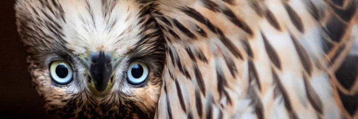 Talk_ToTayo's profile banner image