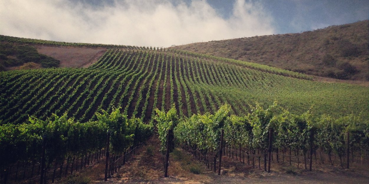 Wayne Kelterer banner