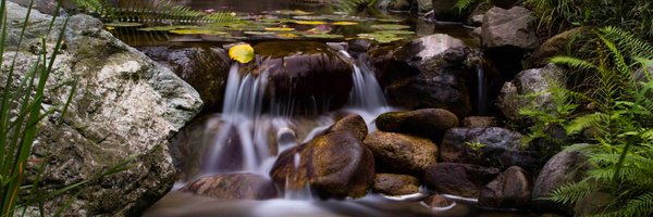 taomooncast Profile Banner