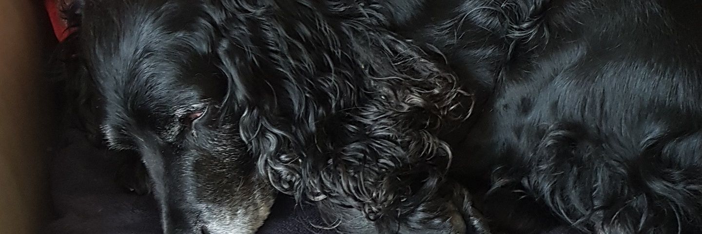 patricksmyth11's profile banner image