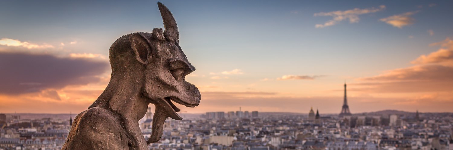 Politicalement's profile banner image