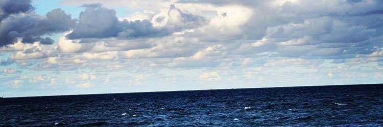 lacinhelin's profile banner image