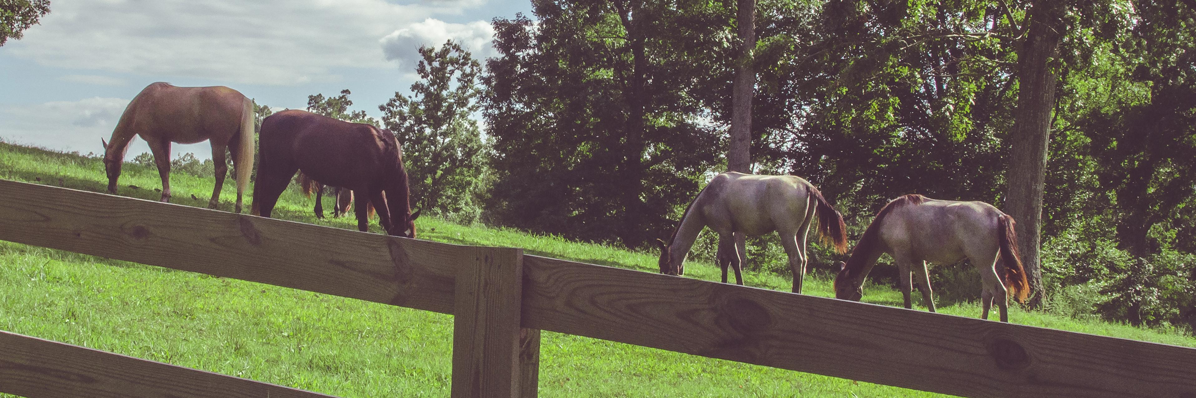 ohhhlala's profile banner image