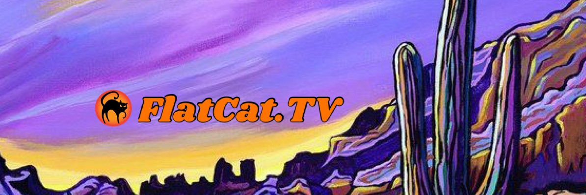 Flat Cat TV banner