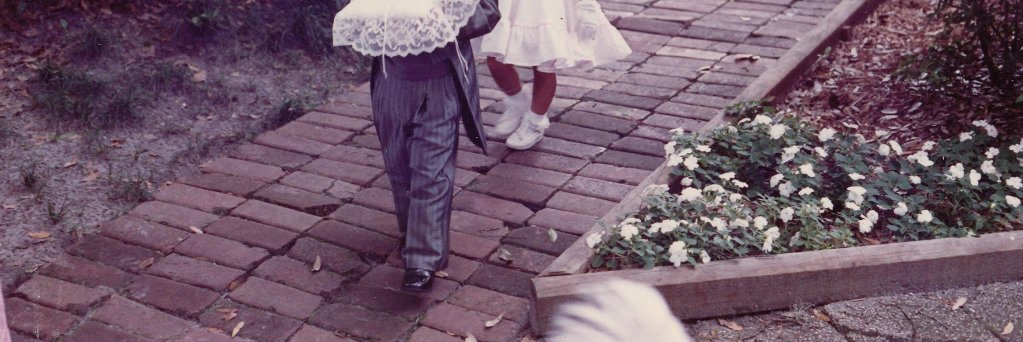 Summer Swells banner