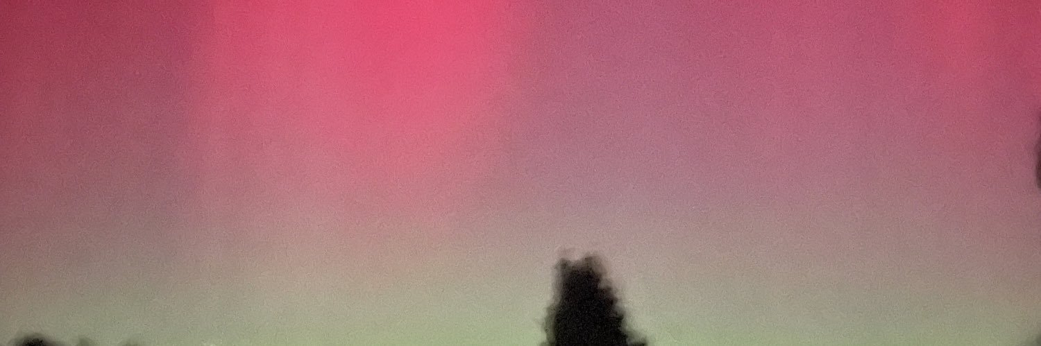 danidarque's profile banner image