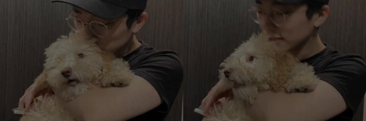 paufrys's profile banner image