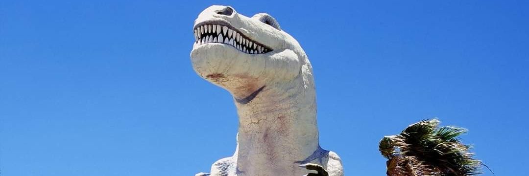 SMerler's profile banner image