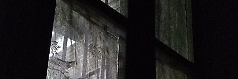 maniety's profile banner image