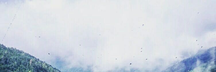 Sharifah03's profile banner image