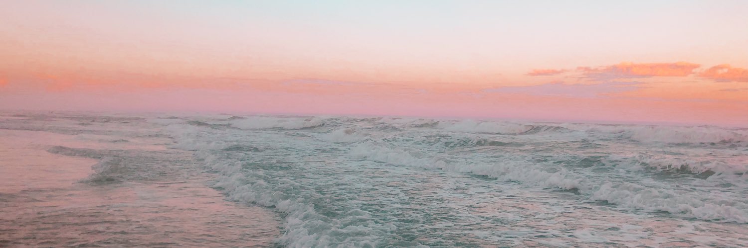 kamillyfrohlich's profile banner image