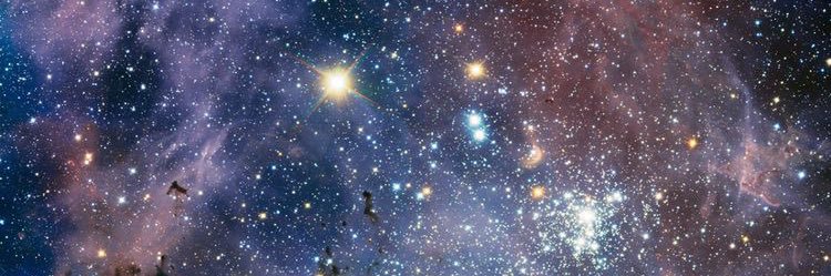 JasmineNst's profile banner image