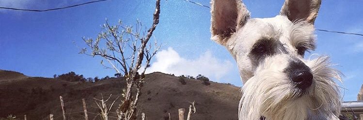 mariuxiCg's profile banner image