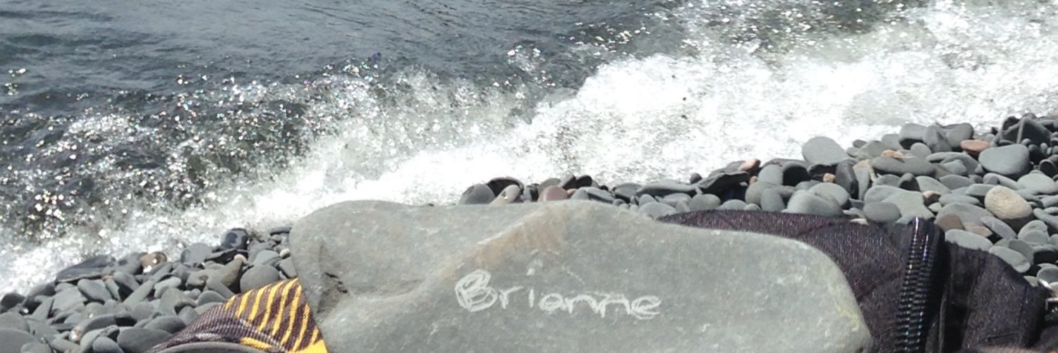 bribribriZ's profile banner image