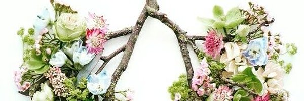 ACorlateanu Profile Banner