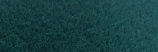 aylin banner