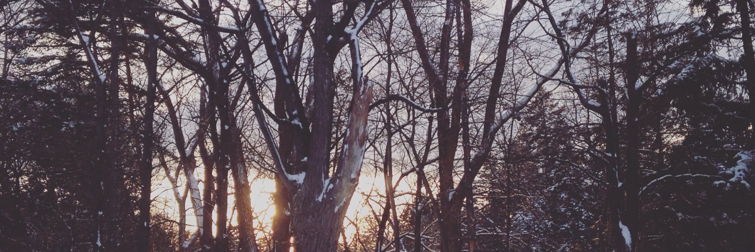 ChristianHobbit's profile banner image