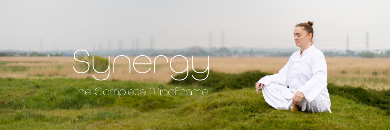 SynergyFiit's profile banner image