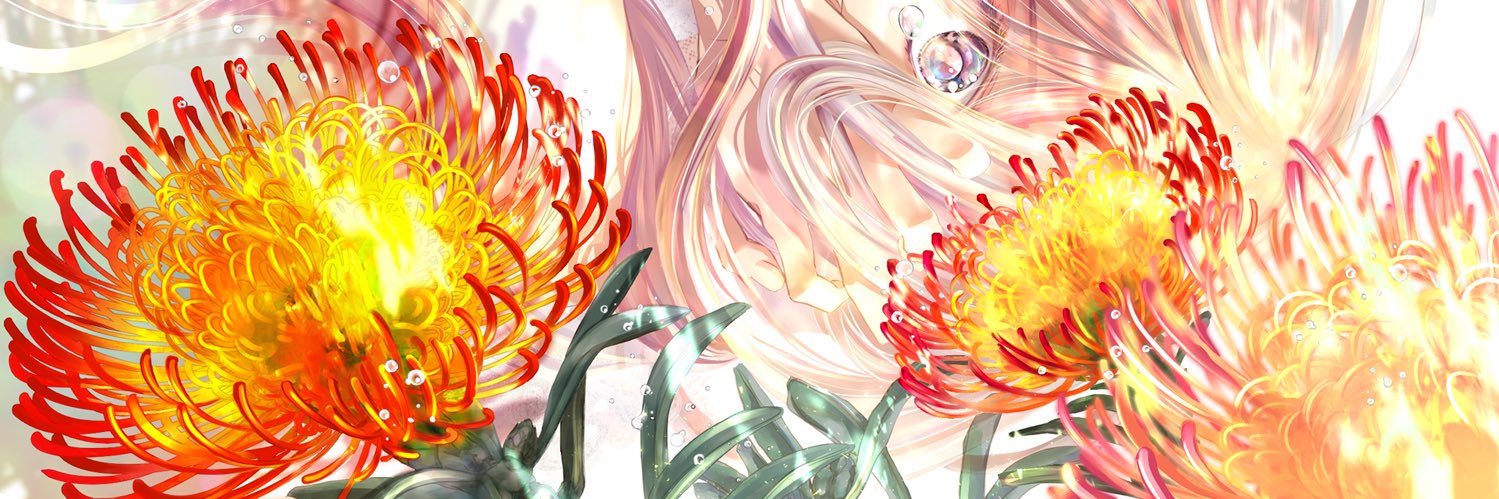 pocochica's profile banner image