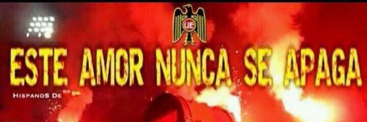 Nico Rubio banner