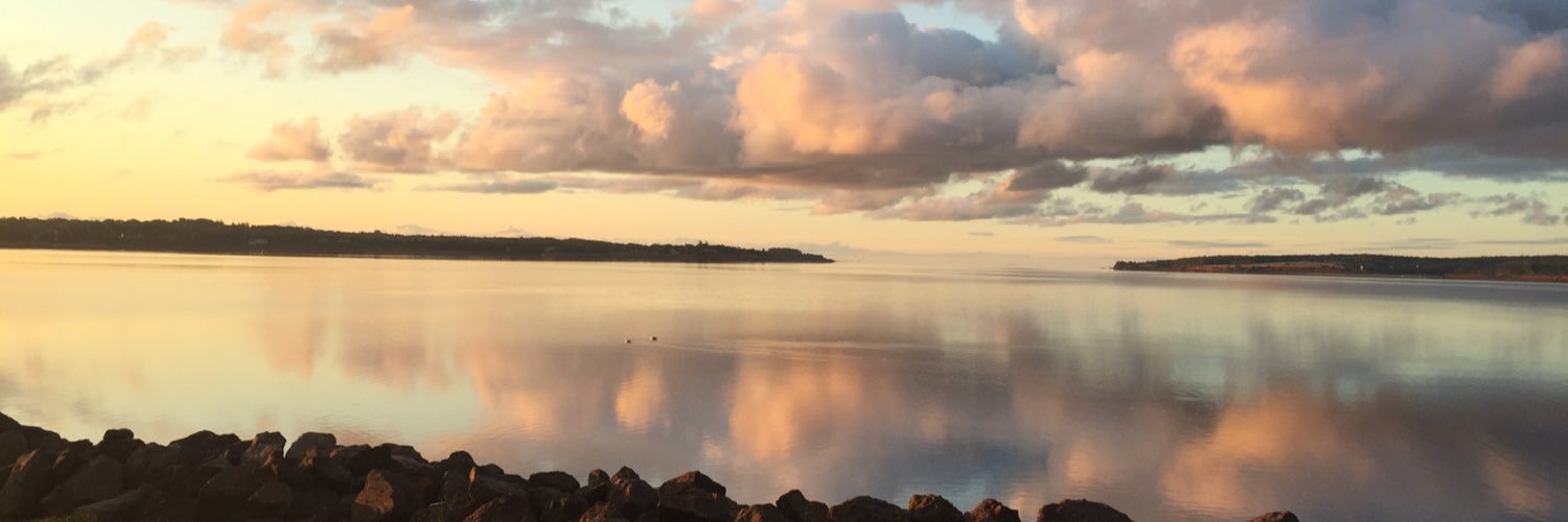 JanetHorne1's profile banner image